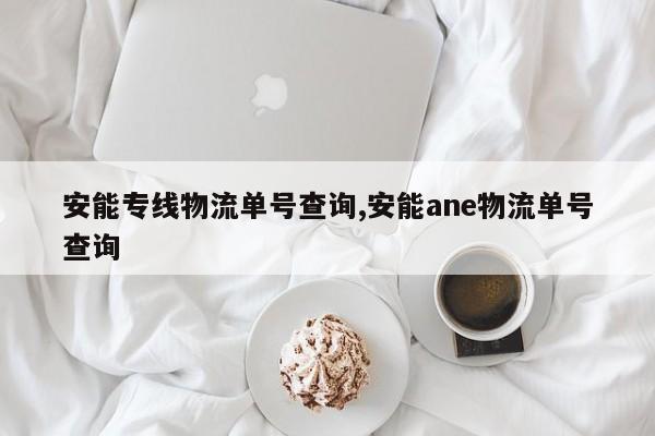 安能专线物流单号查询,安能ane物流单号查询